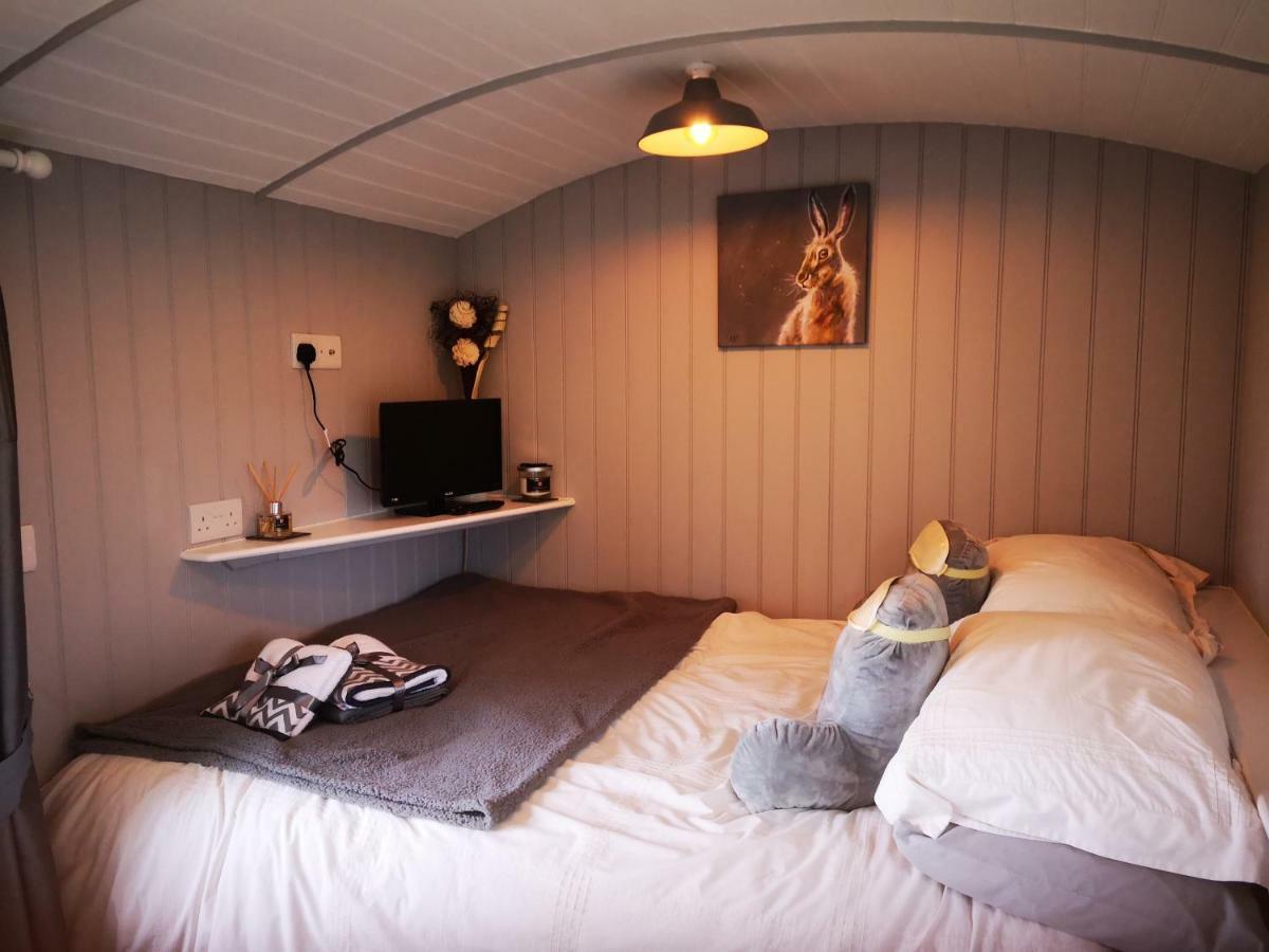 랜드린도드웰스 Pen-Rhos Luxury Glamping "Cuckoo'S Nest" 빌라 외부 사진